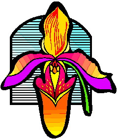 animated-orchid-image-0009