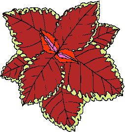 animated-leaf-image-0087