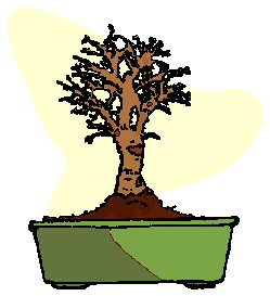 animated-bonsai-tree-image-0018