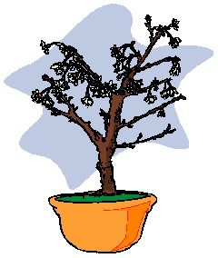 animated-bonsai-tree-image-0030