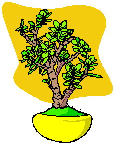 animated-bonsai-tree-image-0035