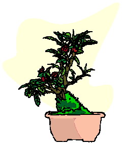 animated-bonsai-tree-image-0043