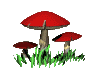 animated-mushroom-image-0003