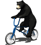 animated-cycling-image-0014