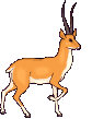 animated-deer-image-0034