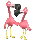 animated-flamingo-image-0008