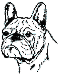 animated-french-bulldog-image-0015
