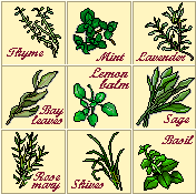 animated-herb-and-spice-image-0040