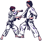animated-karate-image-0011