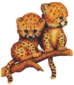 animated-leopard-image-0006