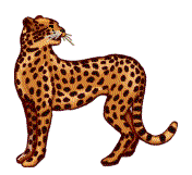 animated-leopard-image-0021
