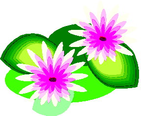 animated-water-lily-image-0012