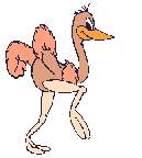 animated-ostrich-image-0005
