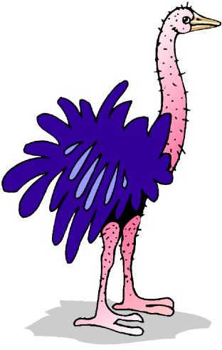 animated-ostrich-image-0037