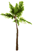 animated-palm-tree-image-0018