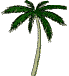 animated-palm-tree-image-0021