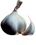 animated-garlic-image-0016