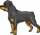 animated-rottweiler-image-0039