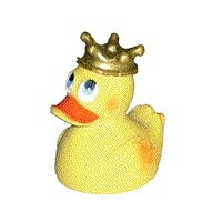 animated-rubber-duck-image-0015