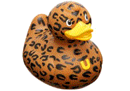 animated-rubber-duck-image-0039