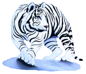 animated-tiger-image-0001