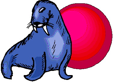 animated-walrus-image-0027