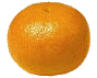 animated-grapefruit-image-0020