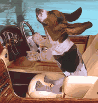 animated-basset-hound-image-0016