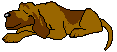 animated-bloodhound-image-0030