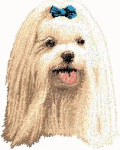 animated-maltese-dog-image-0029