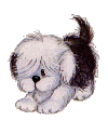 animated-puppy-image-0053