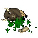 animated-bison-image-0002
