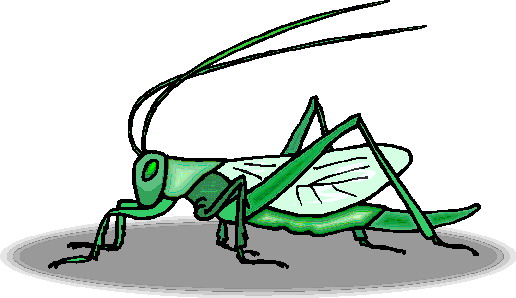 animated-grasshopper-image-0011