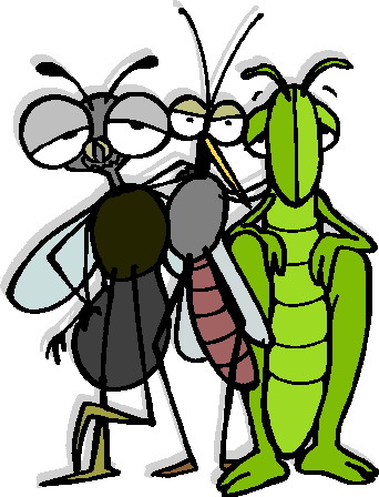 animated-grasshopper-image-0026