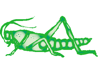 animated-grasshopper-image-0027