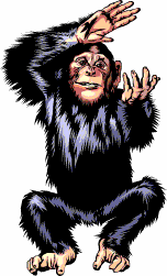 animated-monkey-image-0025