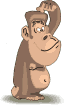 animated-monkey-image-0044