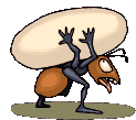 http://www.animatedimages.org/data/media/183/animated-ant-image-0070.gif