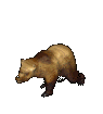 animated-bear-image-0699