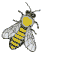 animated-bee-image-0083