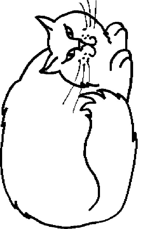 animated-coloring-pages-cat-image-0016