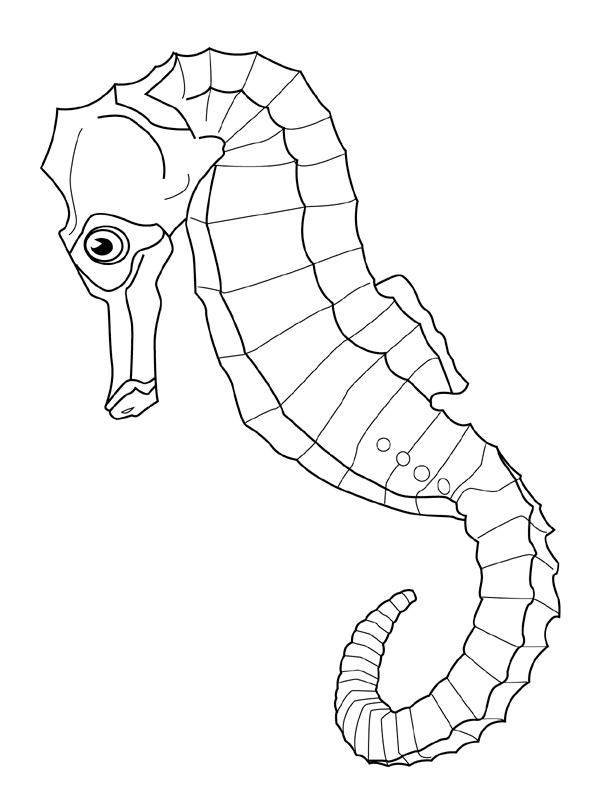 animated-coloring-pages-fish-image-0056