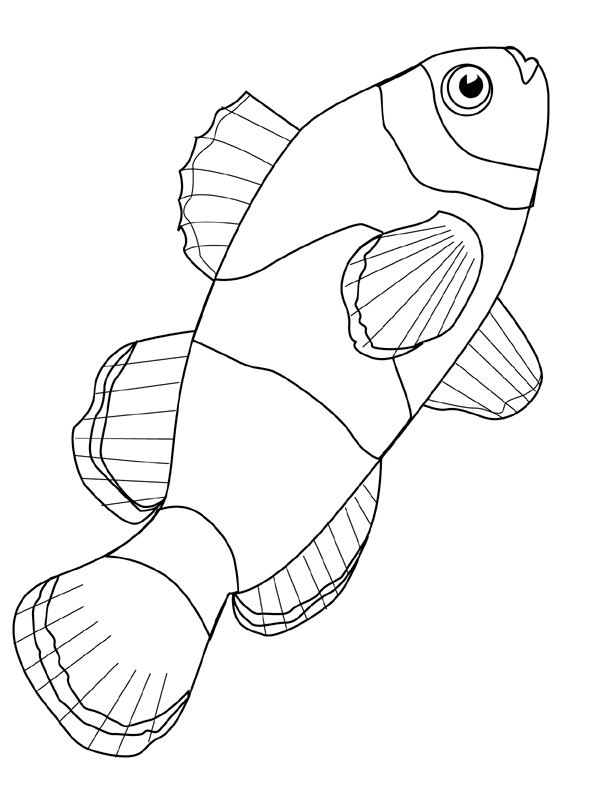 animated-coloring-pages-fish-image-0061
