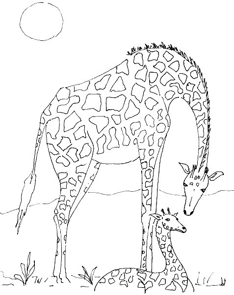 animated-coloring-pages-giraffe-image-0007