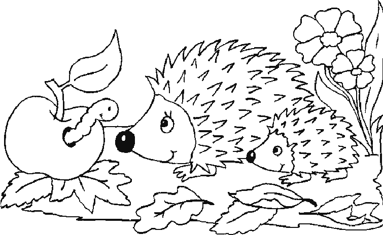 animated-coloring-pages-hedgehog-image-0004