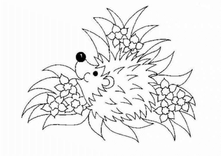 animated-coloring-pages-hedgehog-image-0018