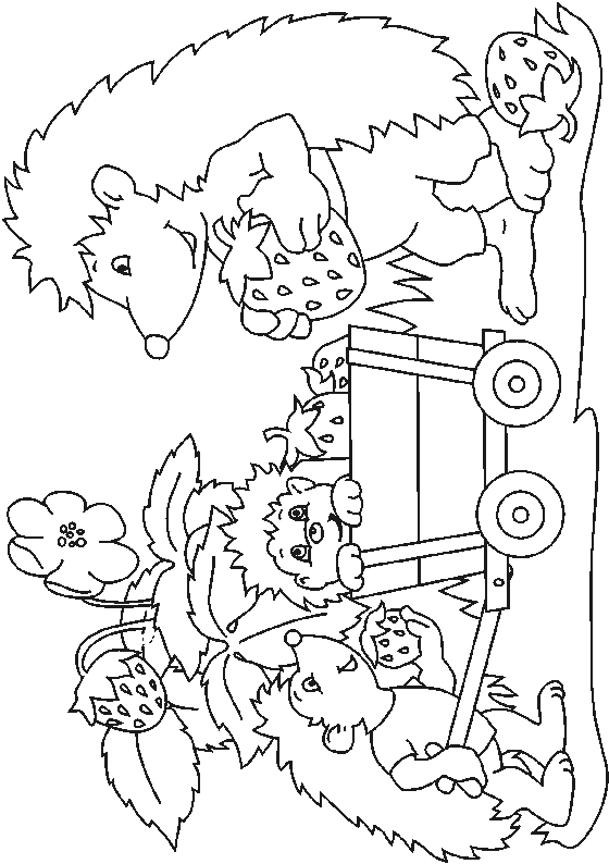animated-coloring-pages-hedgehog-image-0028