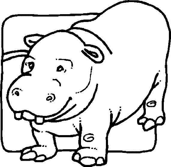 animated-coloring-pages-hippo-image-0010