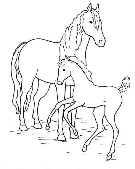 animated-coloring-pages-horse-image-0014