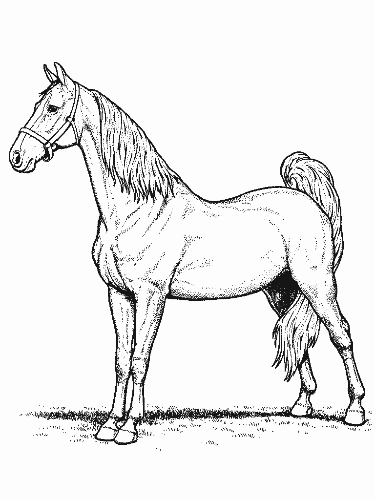 Coloring Pages Horses Animated Images, Gifs, Pictures & Animations